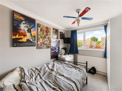 Picture 17